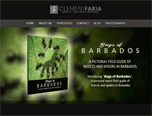Tablet Screenshot of clementfaria.com